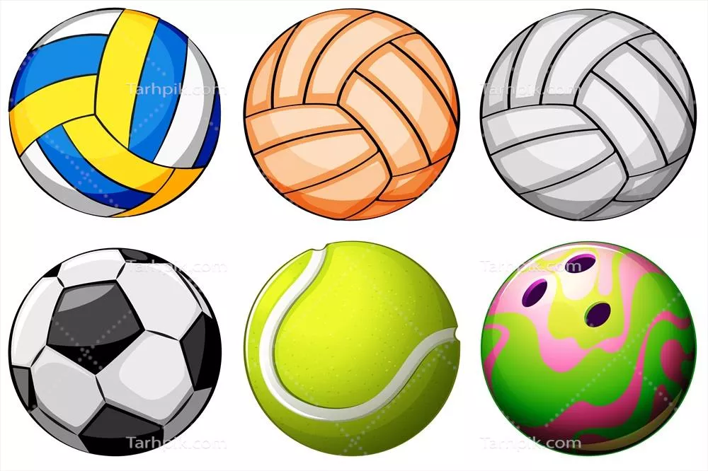 وکتور مجموعه ای از تصاویر توپ های ورزشی بر روی پس زمینه سفید