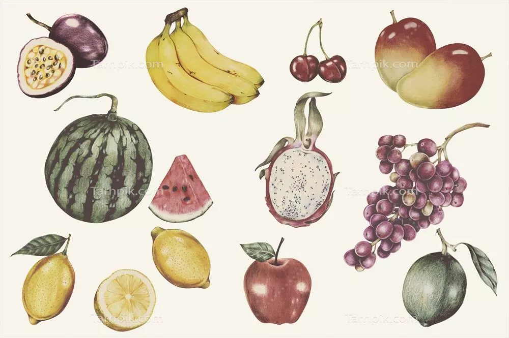 تصویرسازی میوههای گرمسیری به سبک آبرنگ و وکتور با رنگهای جذاب