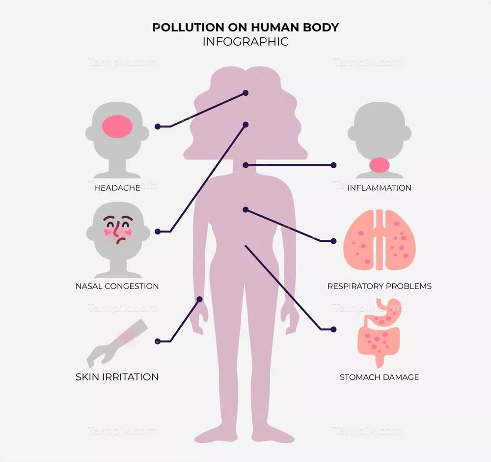 وکتور تاثیرات آلودگی بر بدن انسان: نمودار اطلاعاتی جامع و بصری
