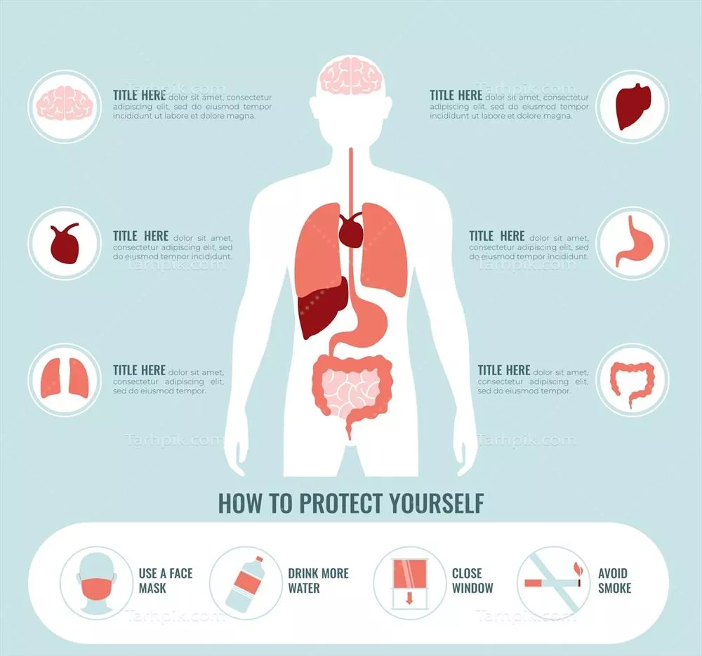 وکتور اینفوگرافیک تأثیرات آلودگی بر بدن انسان و نحوه آسیب به سلامت