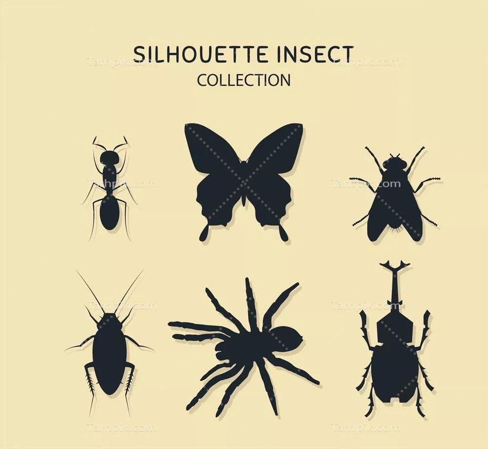مجموعه سیلوئت حشرات وکتور برای طراحی و گرافیک