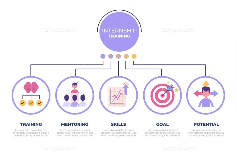 اینفوگرافیک وکتور در مورد آموزش و کارآموزی: نکات و مراحل کلیدی
