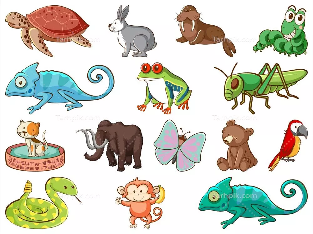 تصویری از حیات وحش بزرگ با انواع مختلف حیوانات در فرمت وکتور