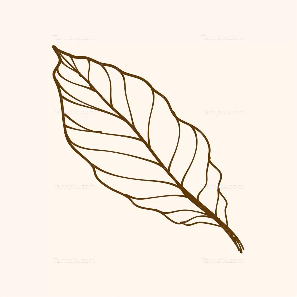 وکتور تصویر ساده و خطی از برگ با طراحی مینیمالیستی و زیبا