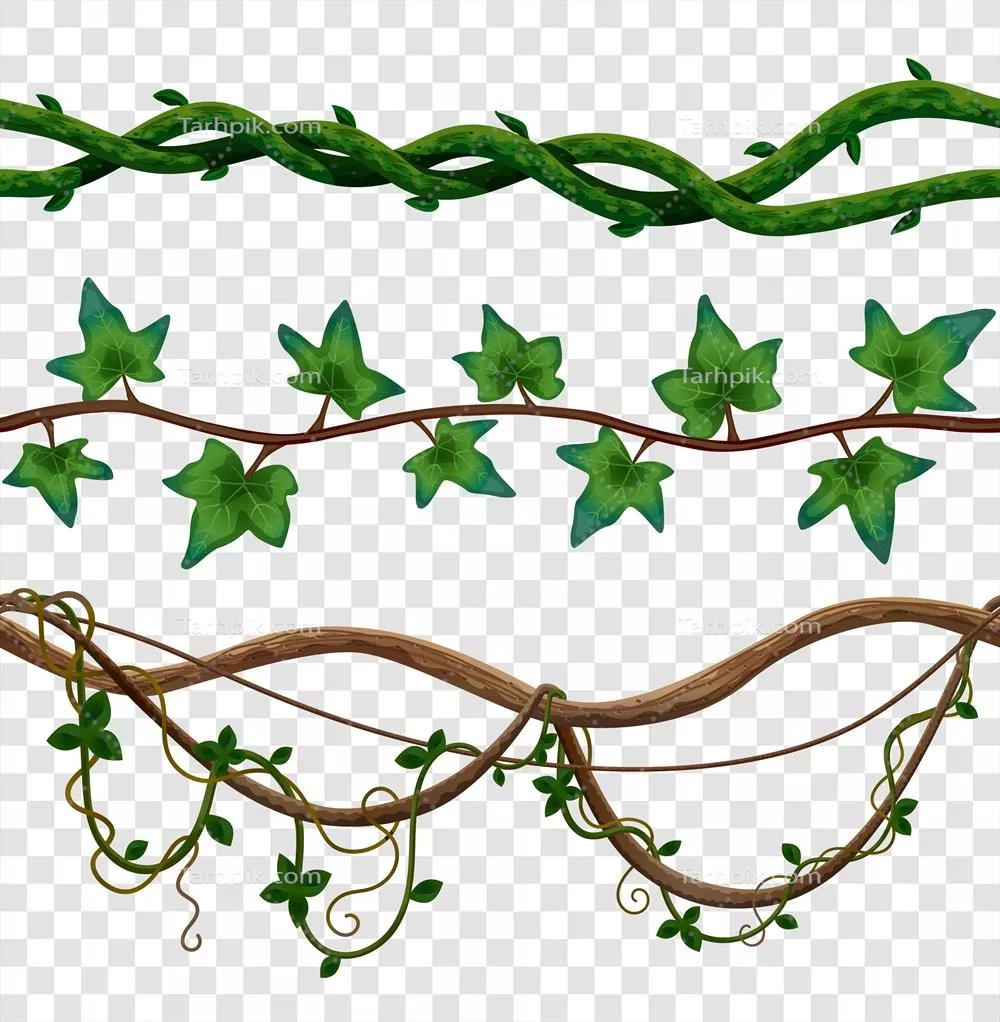 ست بافت بی‌نهایت لایانا شامل برگ‌های تاک و ساقه‌های چوبی به صورت شفاف و وکتور