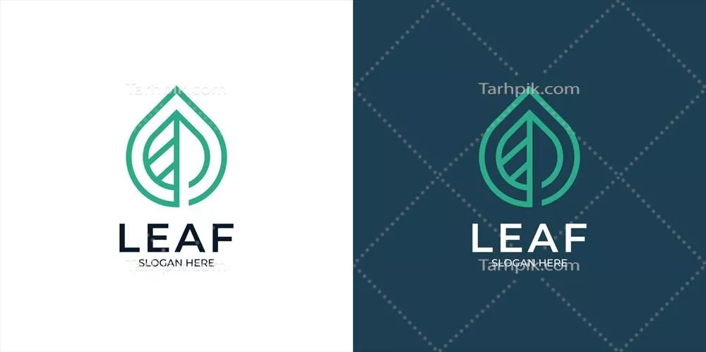 وکتور مجموعه لوگوی مینیمالیستی و خطی برگ با طراحی ساده و مدرن