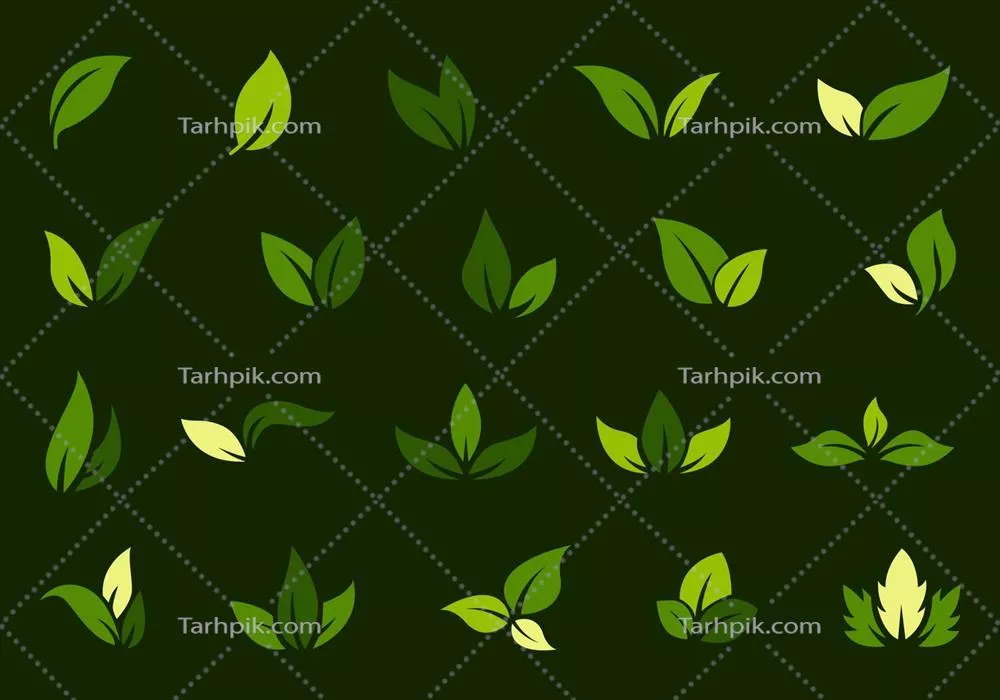 وکتور نماد لوگوی برگ سبز به عنوان عنصر بوم‌شناسی و طبیعت، آیکون اکو