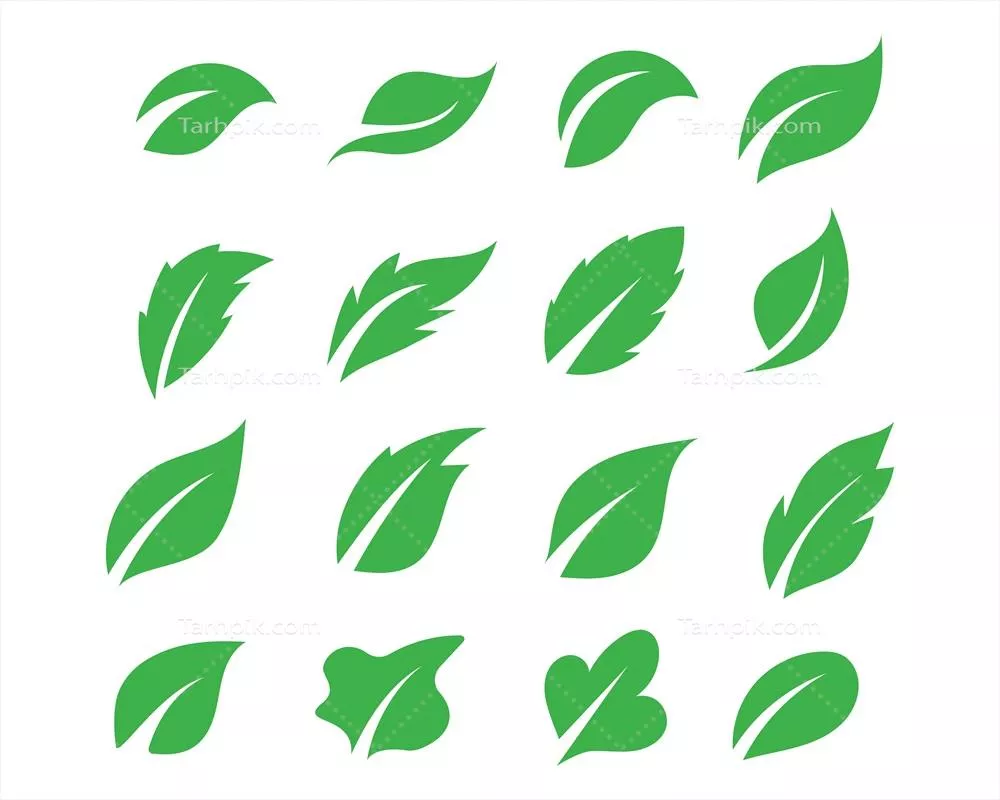 وکتور آرم‌های عناصر طبیعی و اکولوژیکی با برگ سبز درخت به عنوان نماد