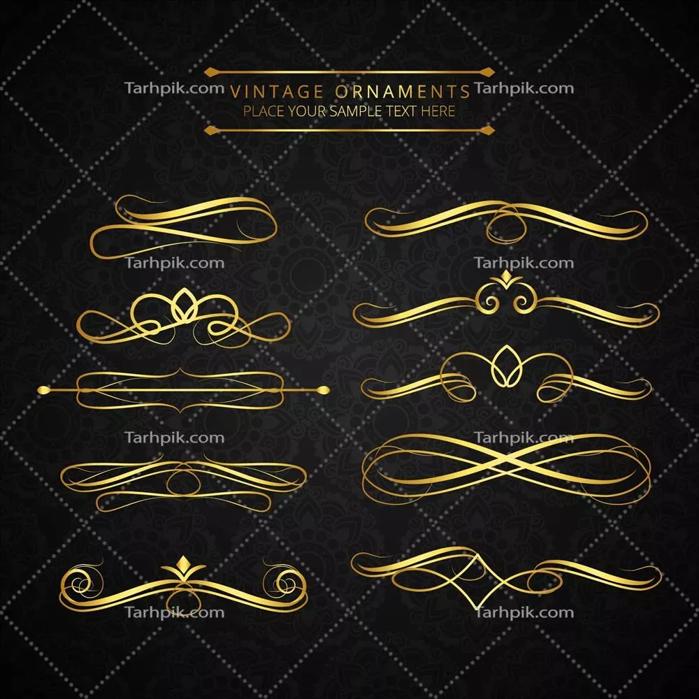 طراحی وکتور شیک و تجملی با الگوهای گلدار در برندهای لوکس