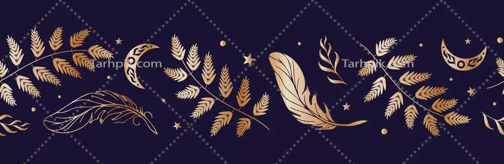 وکتور حاشیه جادویی یکپارچه با ماه، سرخس‌ها و چمن‌های تابستانی طلایی