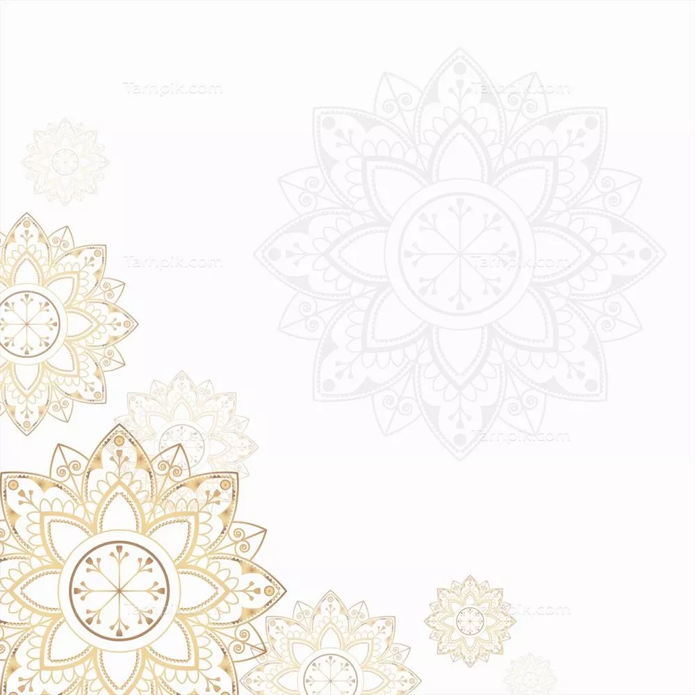 تصویرسازی مندل با طراحی وکتور برای هنر و آرامش ذهنی