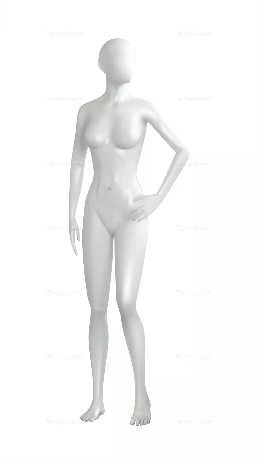 تراشه نمایشی زندگی واقعی: تصویر ایزوله و دمی زنانه ایستاده - تصویر برداری وکتور