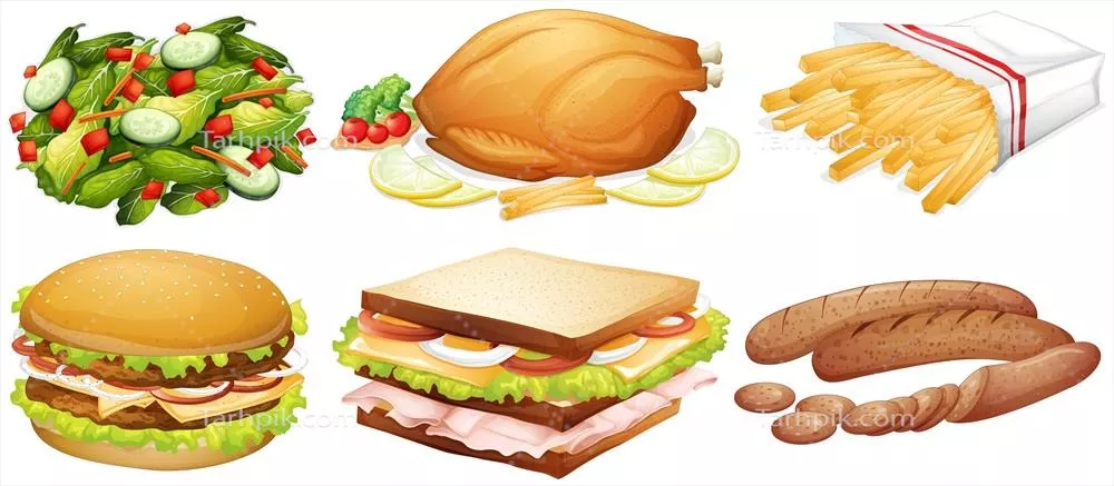 وکتور انواع مختلف غذاها: یک تصویرسازی جذاب از تنوع غذایی