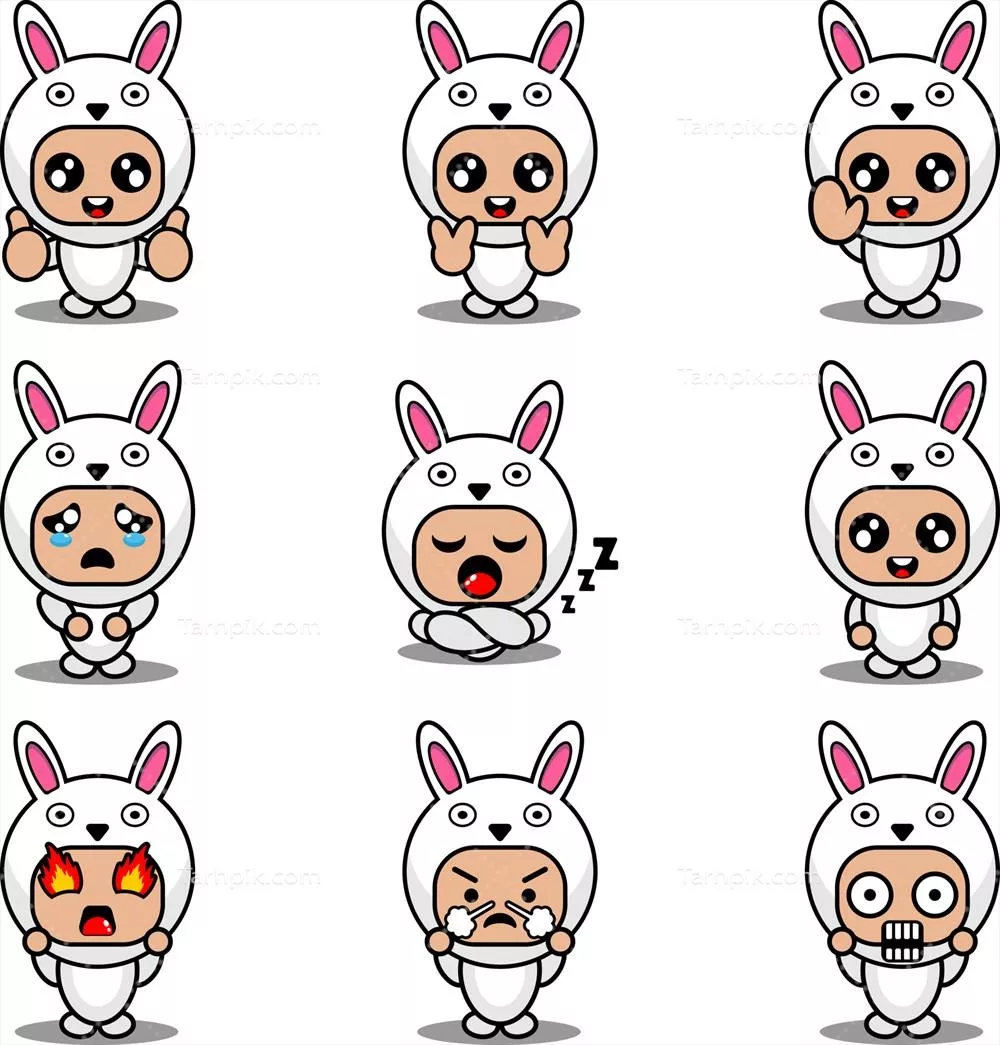 وکتور ست کامل لباس ماسکوت و شخصیت کارتون خرگوش برای جشن ها و رویدادها