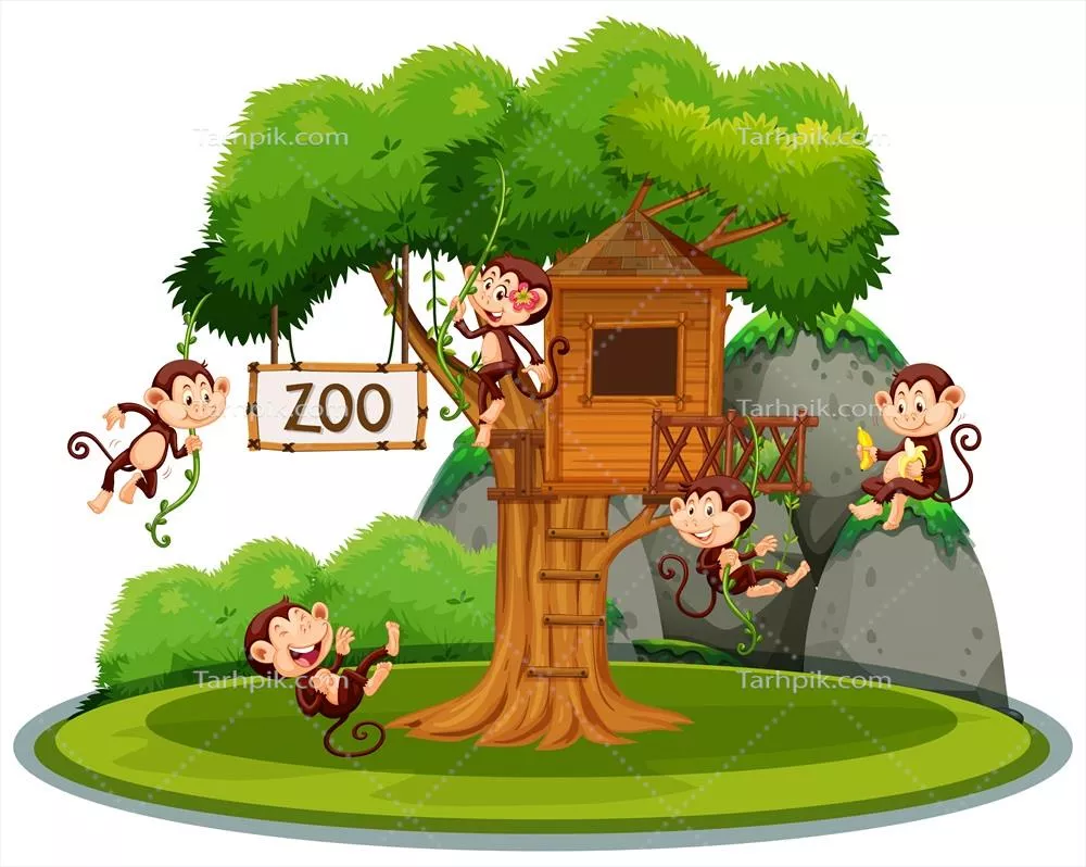 وکتور تصویر میمون در خانه درختی در باغ وحش – کشف زندگی حیوانات
