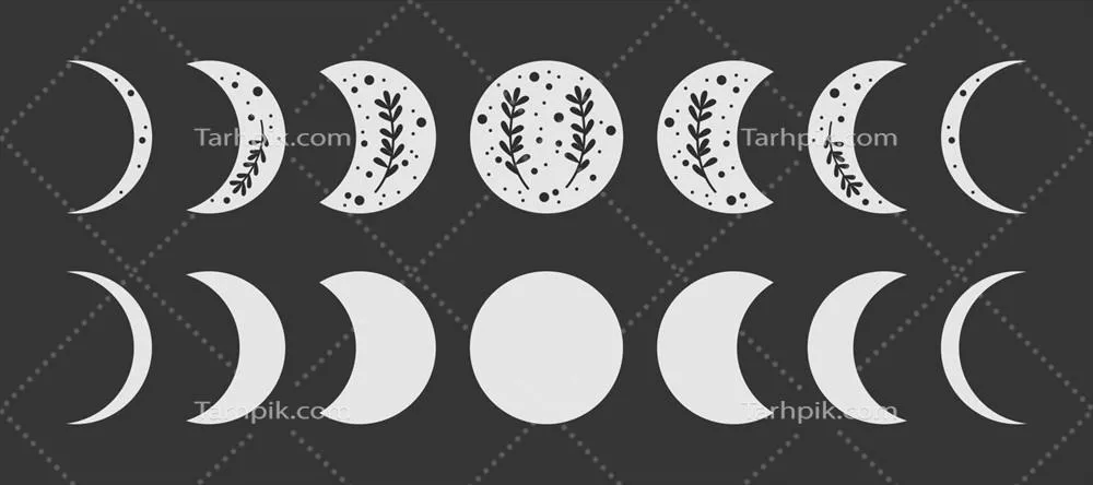آیکون های فاز ماه با طراحی وکتور گیاهان - هنر دیجیتال جذاب