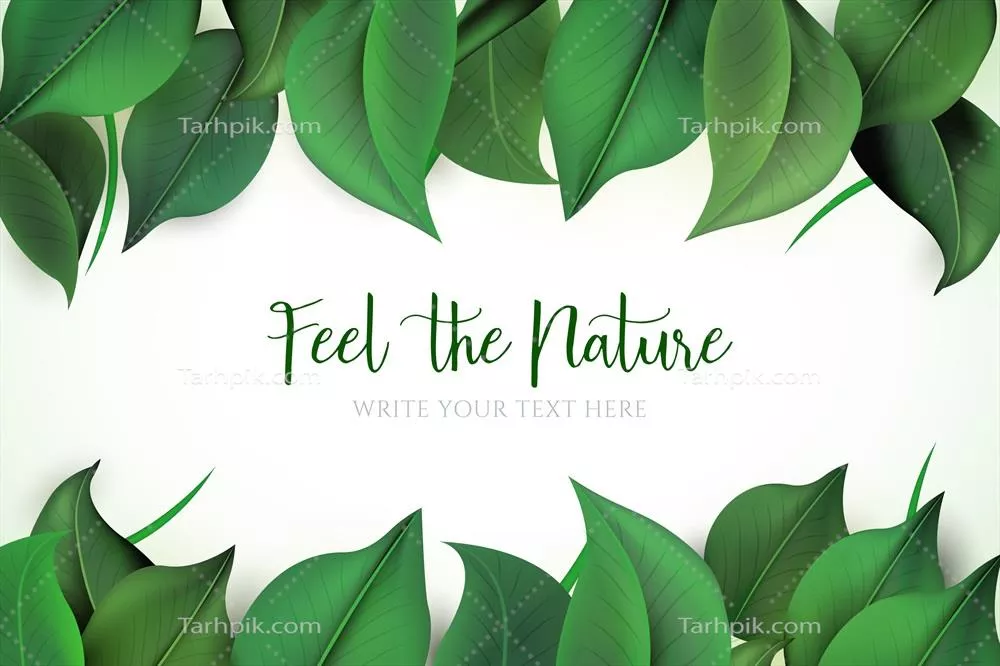 پس زمینه طبیعی با برگهای سبز و طراحی وکتور زیبا