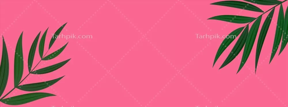 وکتور پسزمینه استوایی با برگ نخل طبیعی و واقعگرایانه در رنگهای سبز