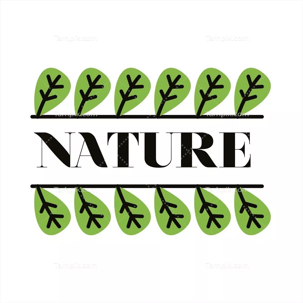 وکتور زیبایی طبیعت: برگها و گیاهان در دل طبیعت