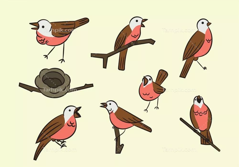 وکتور پرنده بلبل کارتونی و زیبا با شخصیت دوستداشتنی و جذاب