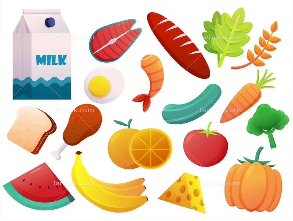 وکتور تغذیه مناسب برای تقویت سیستم ایمنی بدن و جلوگیری از بیماریها