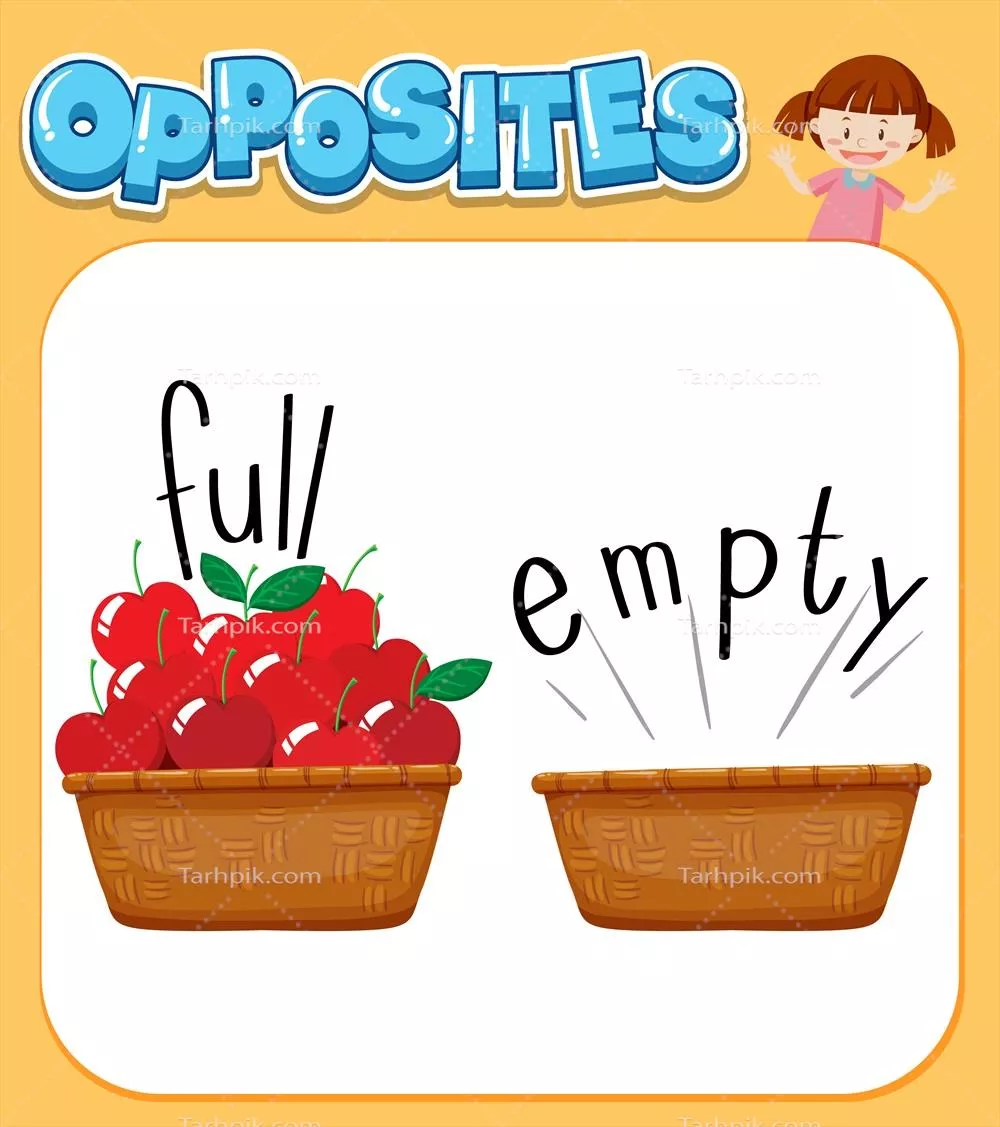 واژههای متضاد: پر و خالی به همراه وکتورهای مربوطه