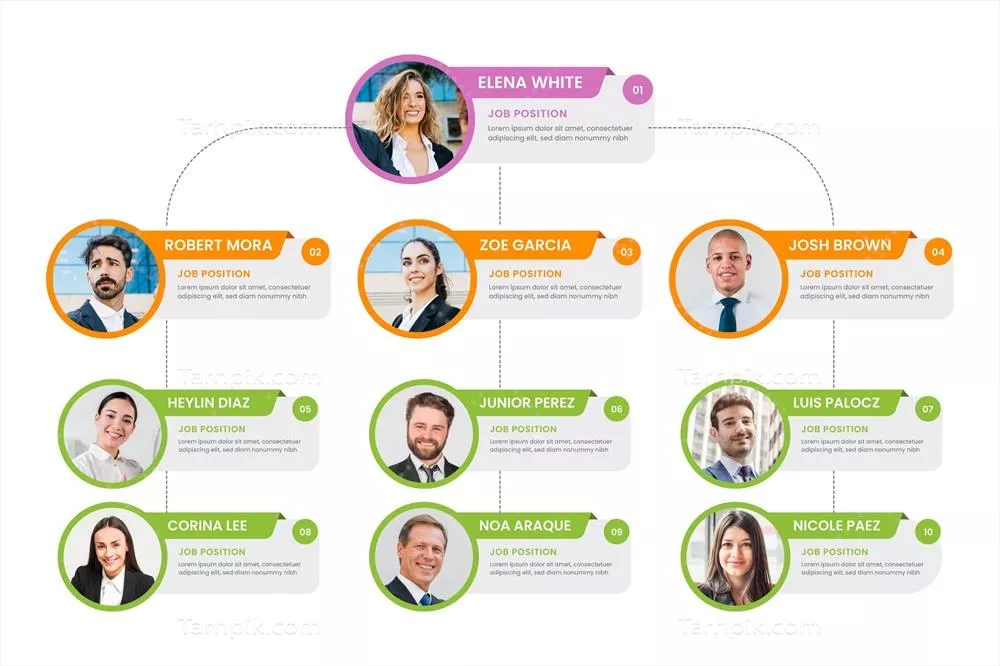 نقشه سازمانی با طراحی وکتور برای نمایش ساختار سازمانی