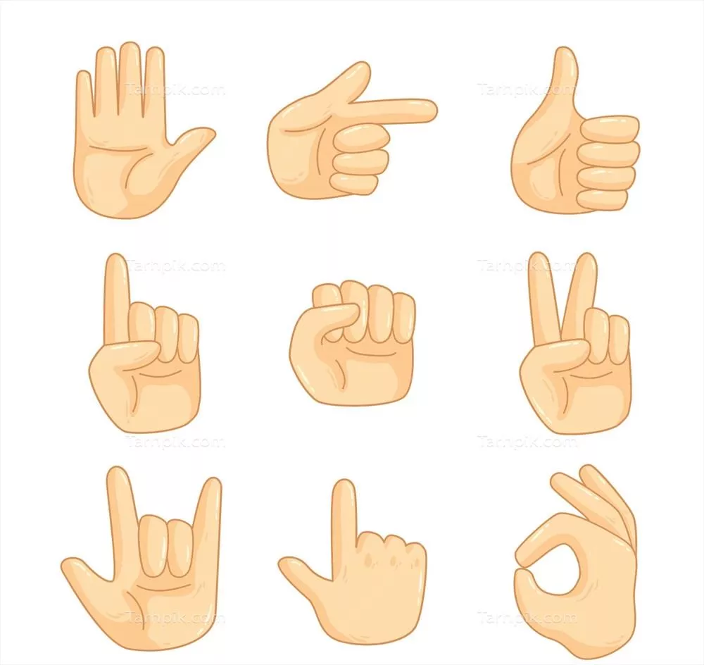 بسته وکتور علائم و نشانههای زبان اشاره برای یادگیری و ارتباط بهینه