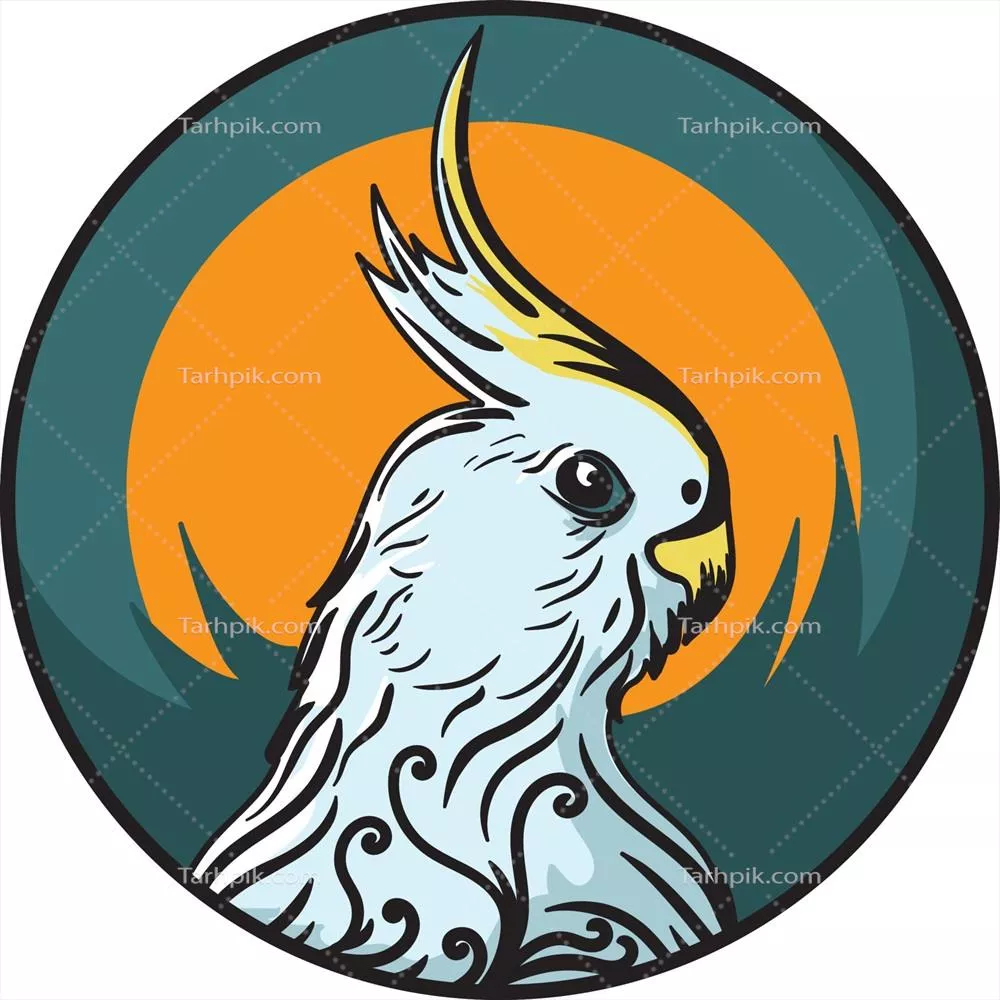 وکتور الگوی برند لوگوی پرنده طوطی با طراحی مبتکرانه و جذاب