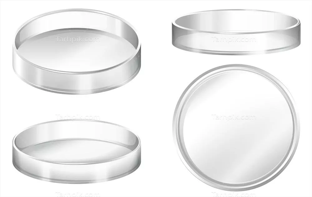 وکتور صفحات پتری روی زمینه سفید - نمایی از صفحات کشت باکتری