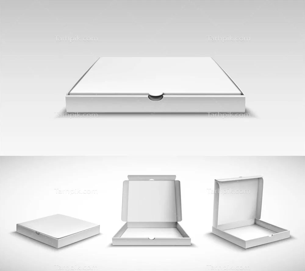 پکیج جذاب و پیتزا با طراحی وکتور بی‌نظیر برای علاقمندان