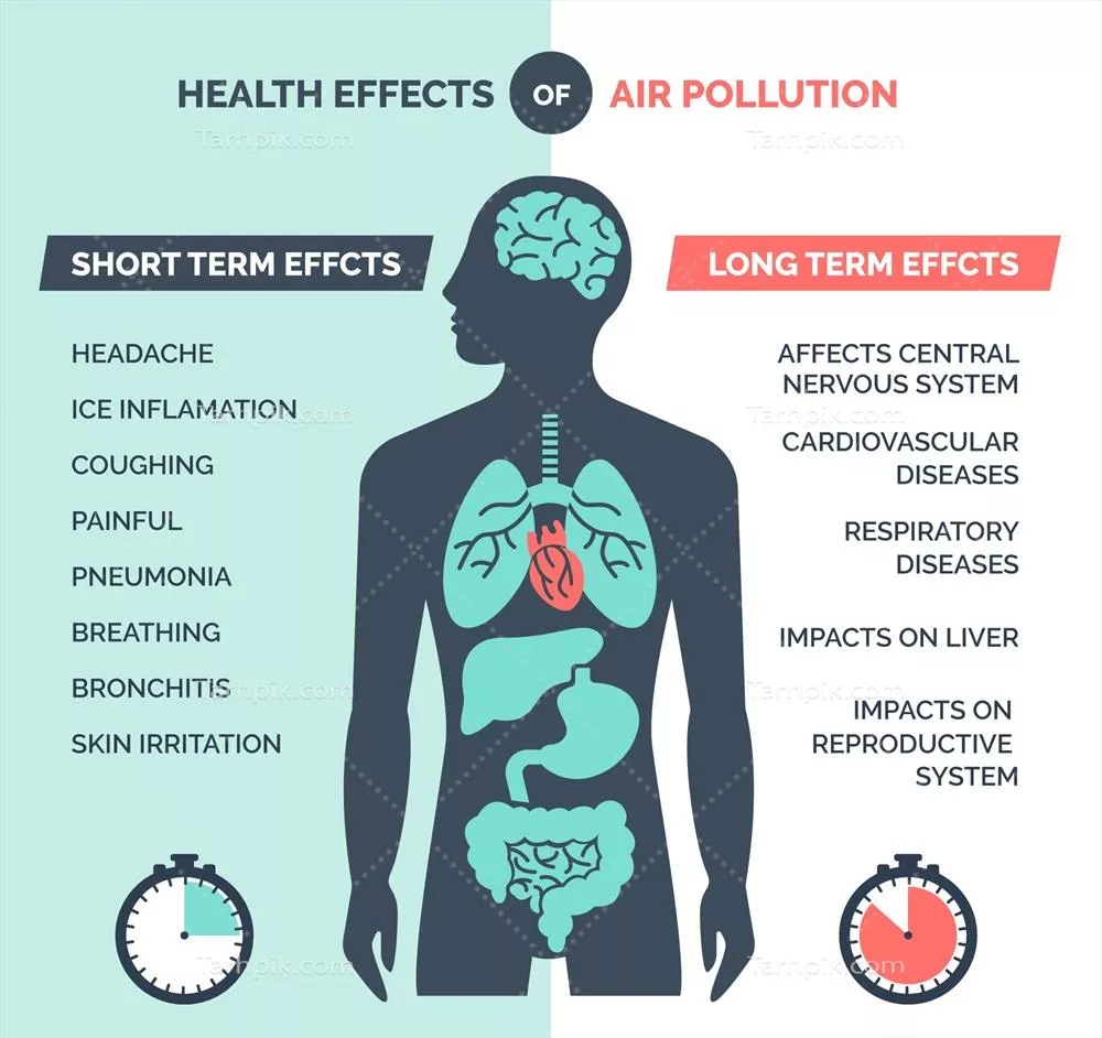 اینفوگرافیک وکتوری در مورد آلودگی و تأثیر آن بر بدن انسان