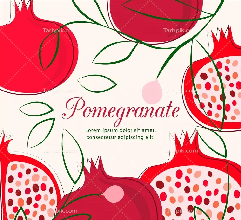 وکتور انار: طراحی‌های گرافیکی و الگوهای زینتی انار