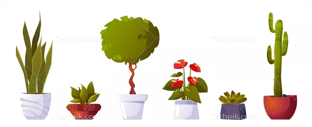 مجموعه گلهای گلدانی با پسزمینه سفید و طراحی وکتور