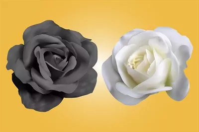 طراحی وکتور واقع گرایانه گل رز سیاه و سفید با جزئیات زیبا