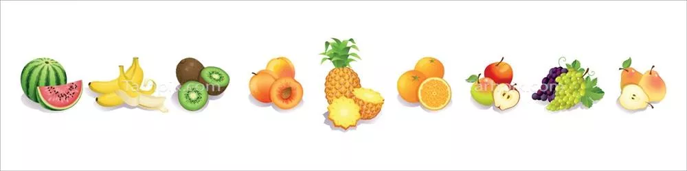 وکتور مجموعه میوههای واقعی و طبیعی با طراحی دقیق و جزییات بالا