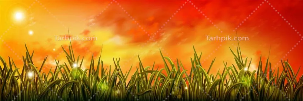 وکتور چمن سبز واقعی زیر آسمان طلایی صبحگاهی - ترکیبی از زیبایی طبیعت و آرامش