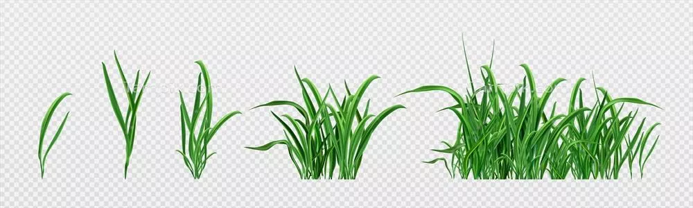 کتابخانه وکتور با کیفیت بالا از چمن سبز و نشاهای واقعی