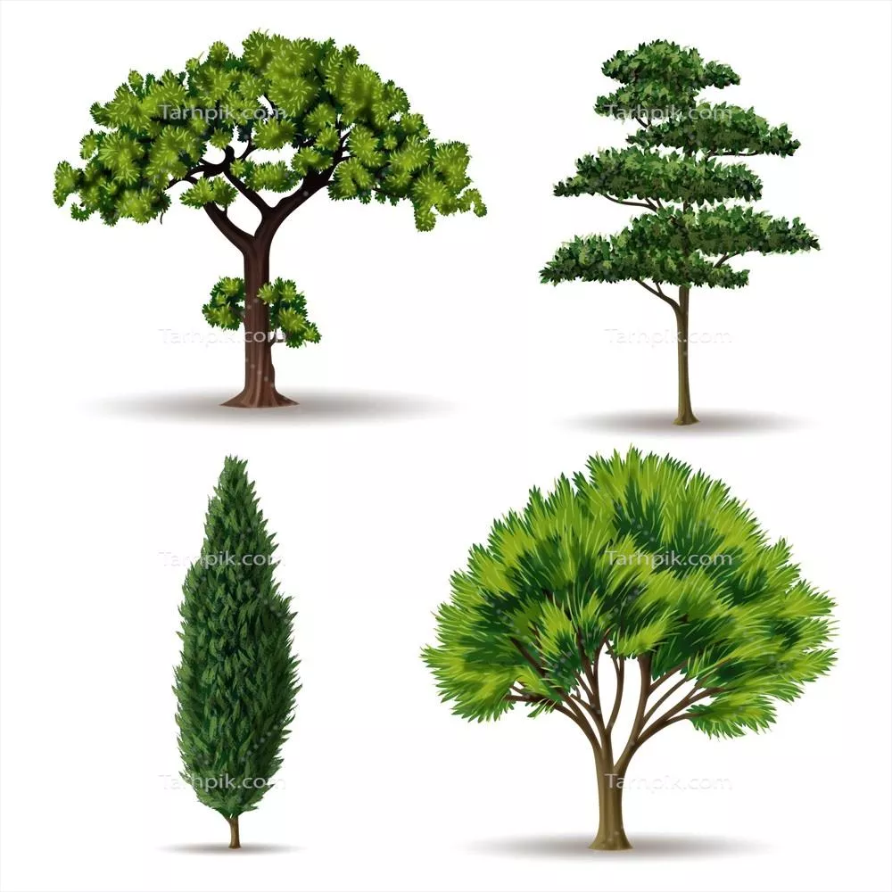 درختان وکتوری با سبک واقعگرایانه برای طراحی و هنرهای دیجیتال