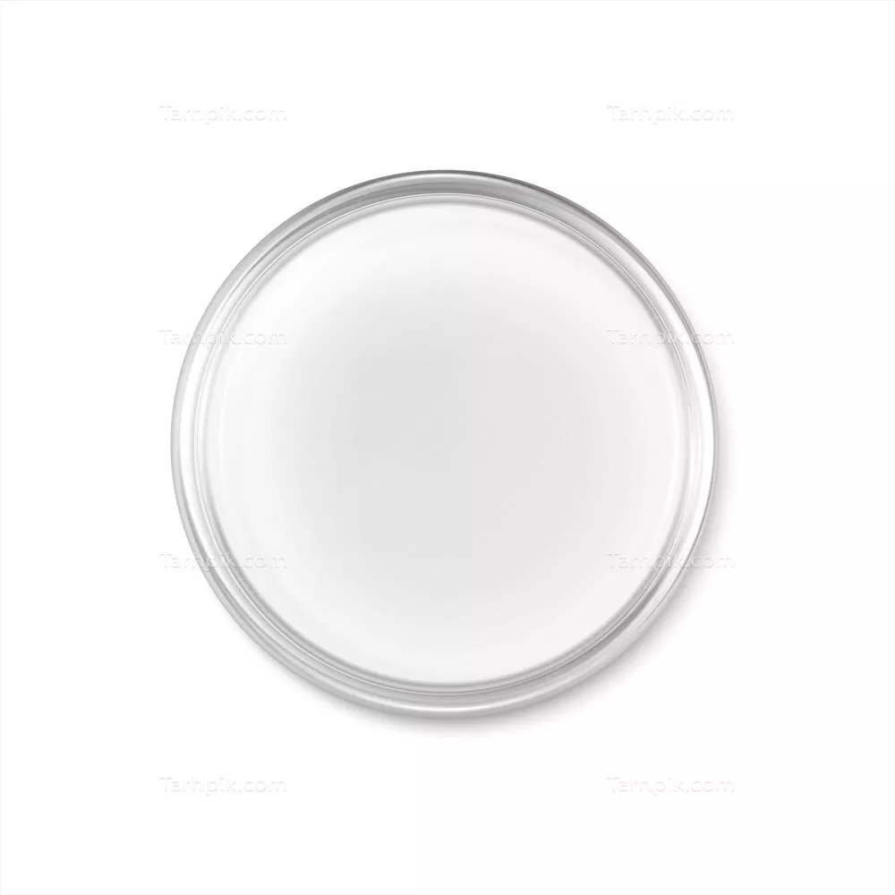 آیکون وکتور واقعگرای بشقاب پتری - وسایل آزمایشگاهی در علم و تحقیق