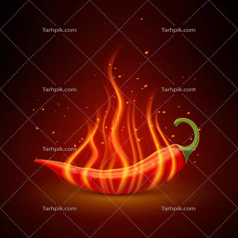 فلفل قرمز تند واقعی - شیء تکی وکتور با کیفیت بالا