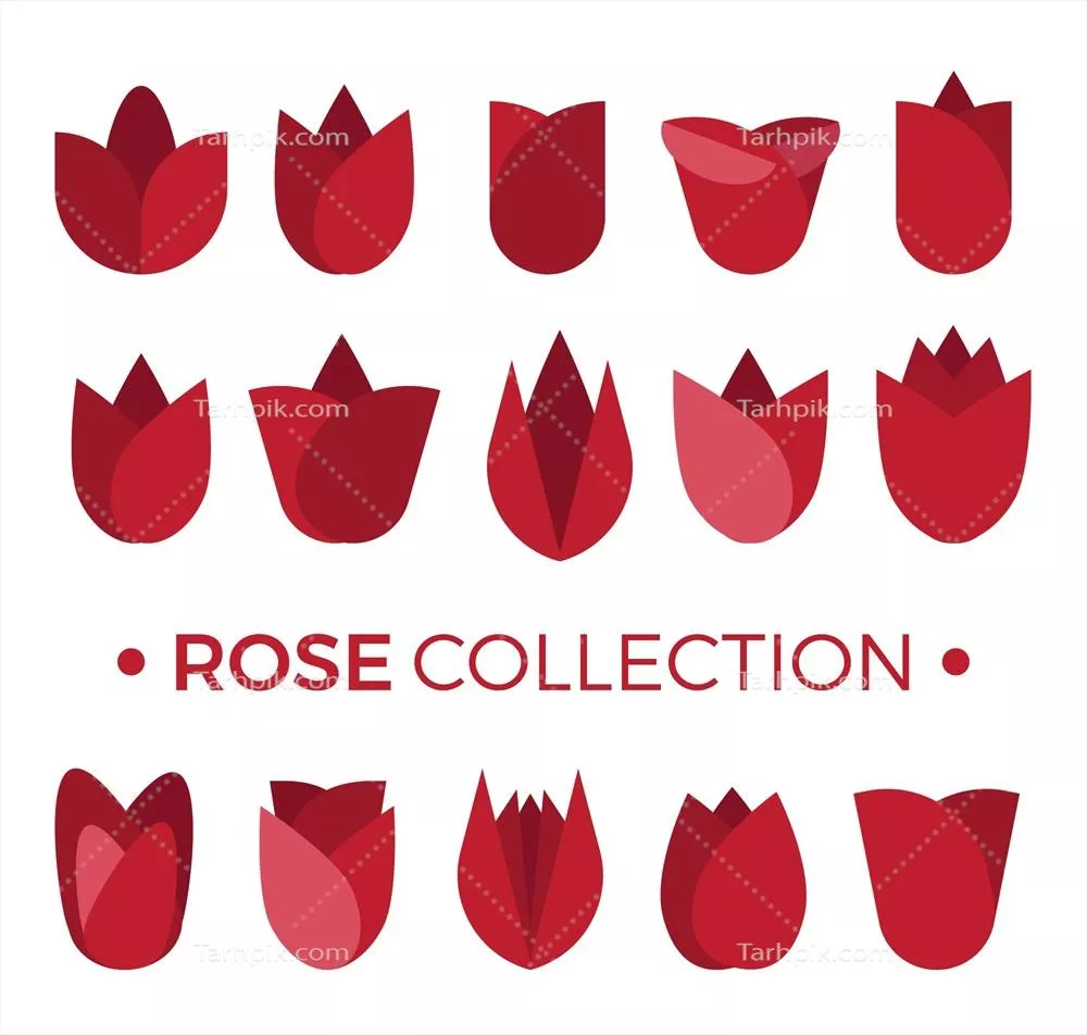 مجموعه وکتور گل های سرخ - طراحی های زیبا و ویژه