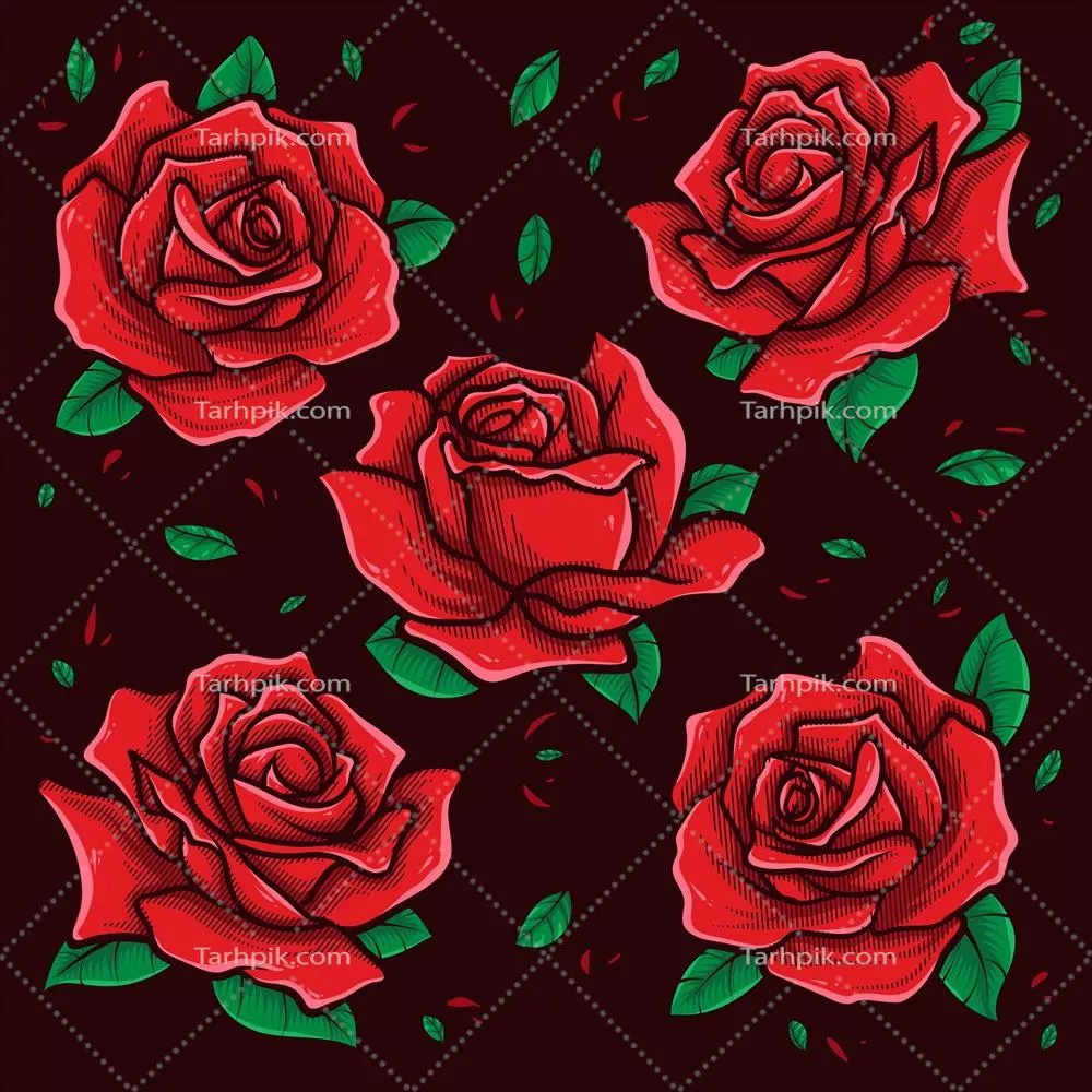 هنر گرافیکی وکتور گلهای سرخ با طراحی زیبا و جذاب