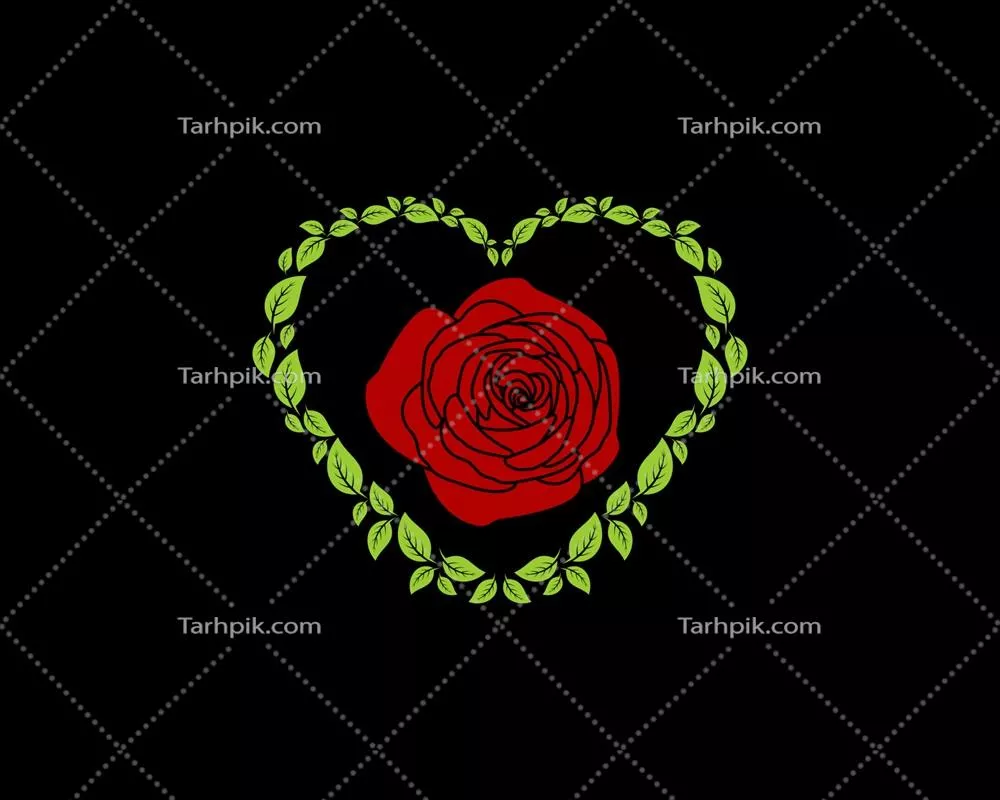 وکتور گل رز در میان برگ های سبز با شکل عشقی زیبا
