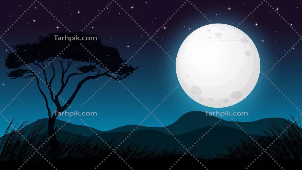 وکتور تصویرسازی جنگل ساوانا در شب تاریک با ستارههای درخشان
