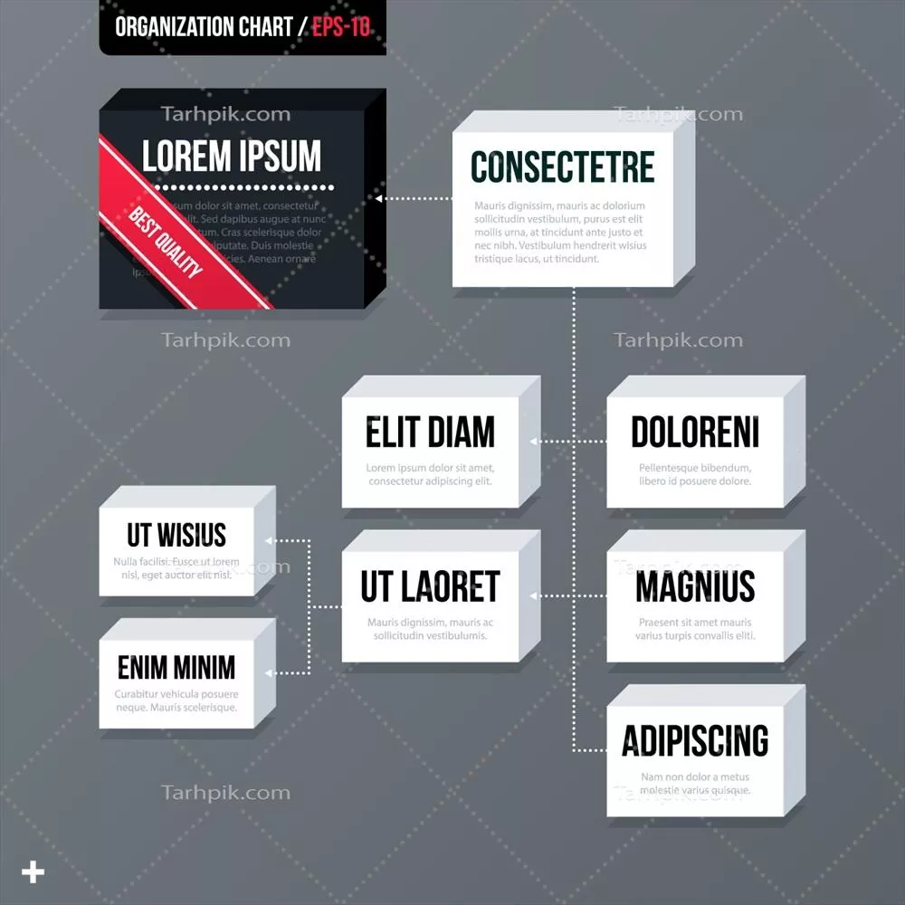 طرح طراحی وکتور: ایجاد الگوهای بصری با کیفیت بالا و خلاقانه