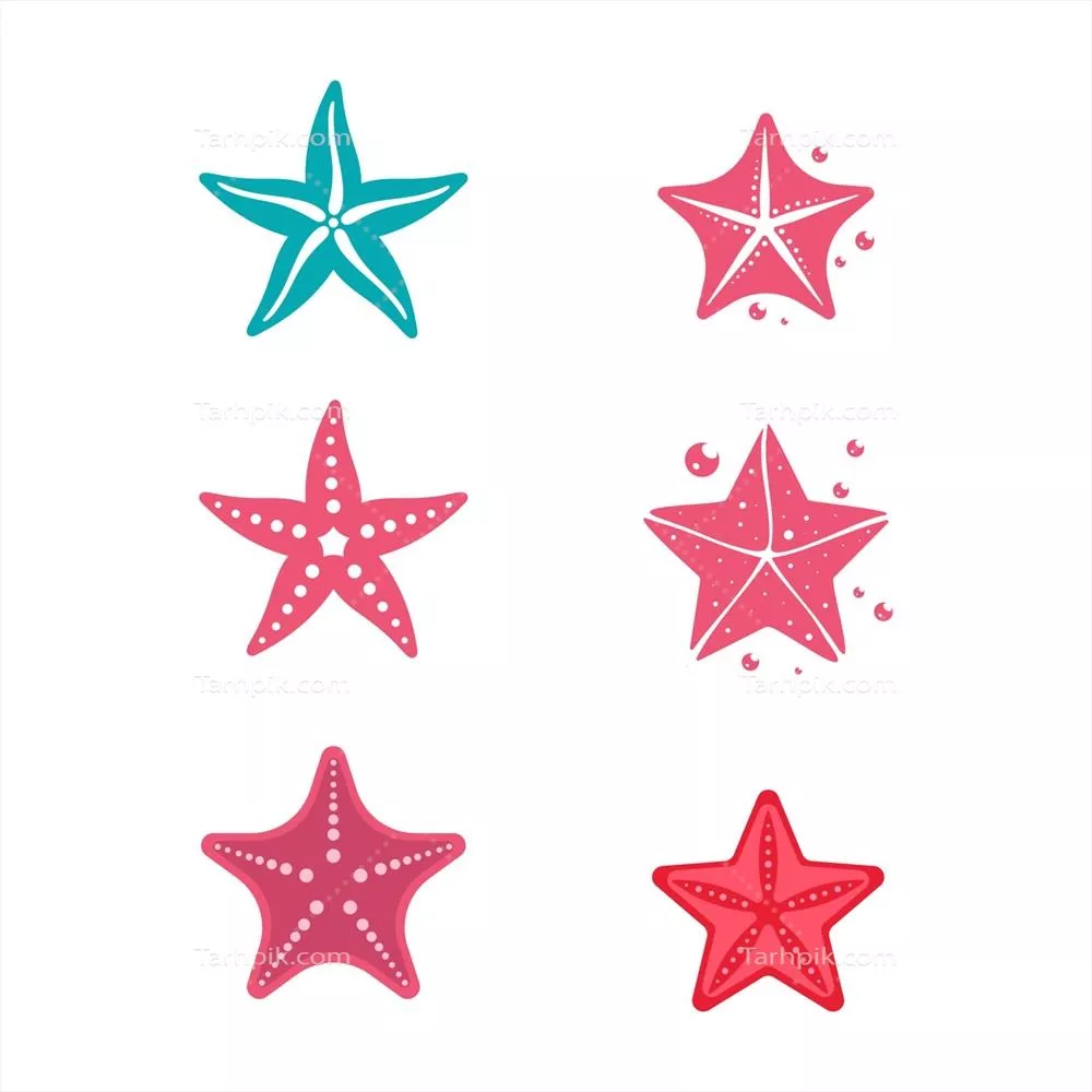 الگوی وکتور آیکون ماهی ستاره دریا با طراحی زیبا و جذاب