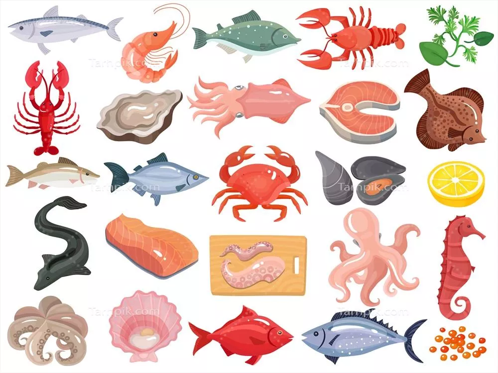 مجموعه بزرگ وکتور آیکون‌های تخت از غذاهای دریایی