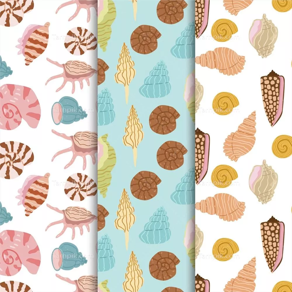 مجموعه طراحی الگوهای پیوسته صدف دریایی با وکتور زیبا