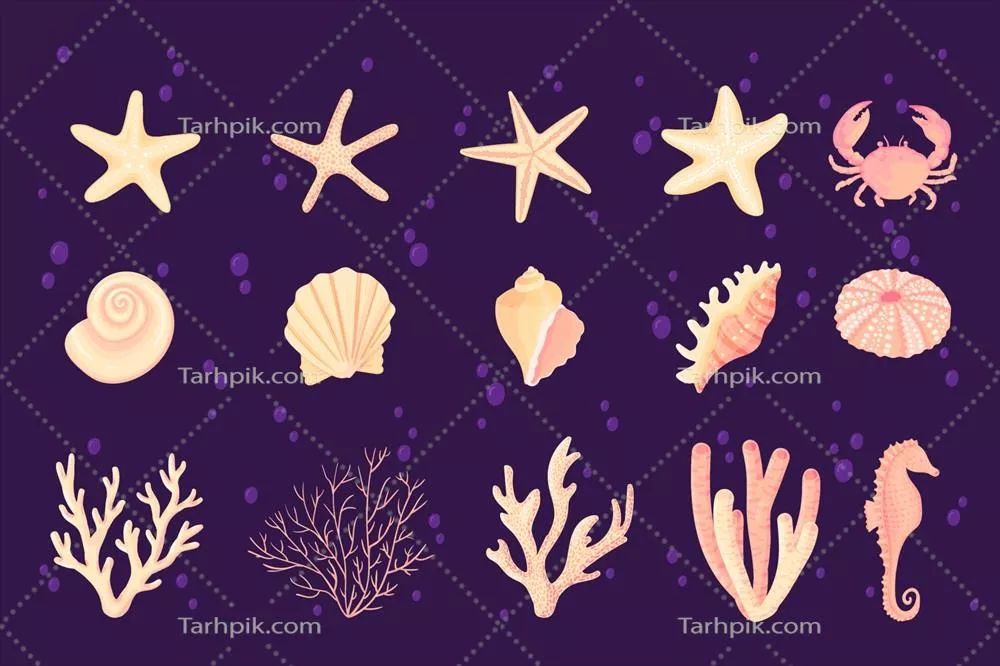 مجموعه وکتور طراحی شده از صدفها به صورت کارتونهای مسطح